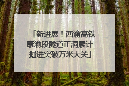 新进展！西渝高铁康渝段隧道正洞累计掘进突破万米大关