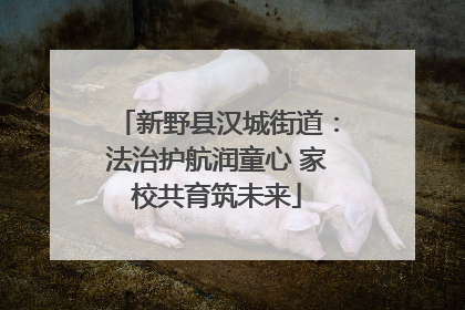 新野县汉城街道：法治护航润童心 家校共育筑未来