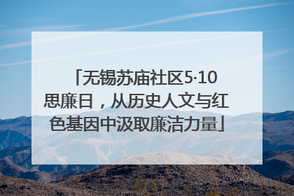 无锡苏庙社区5·10思廉日，从历史人文与红色基因中汲取廉洁力量