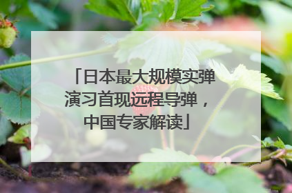 日本最大规模实弹演习首现远程导弹，中国专家解读