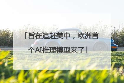 旨在追赶美中，欧洲首个AI推理模型来了