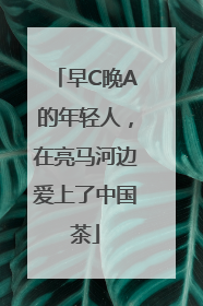 早C晚A的年轻人，在亮马河边爱上了中国茶