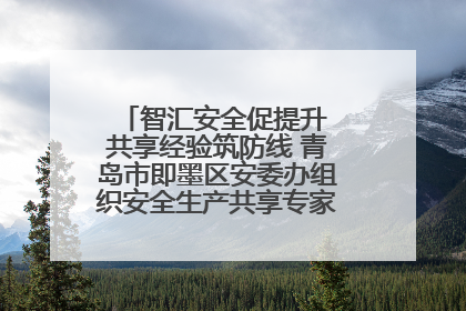 智汇安全促提升 共享经验筑防线 青岛市即墨区安委办组织安全生产共享专家现场观摩学习活动