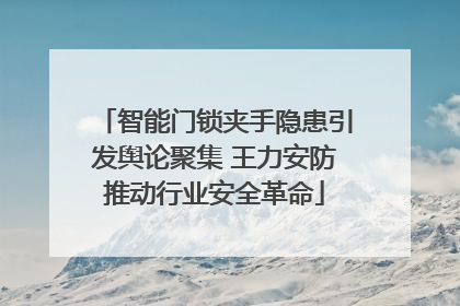 智能门锁夹手隐患引发舆论聚集 王力安防推动行业安全革命