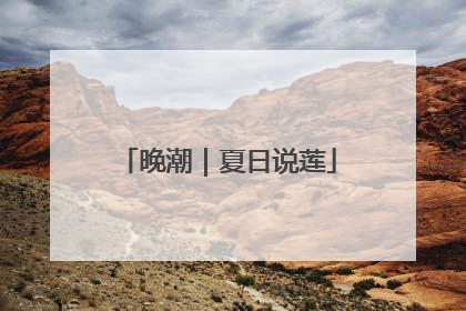晚潮｜夏日说莲