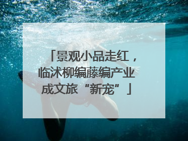 景观小品走红，临沭柳编藤编产业成文旅“新宠”