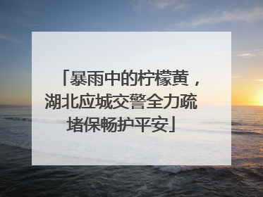 暴雨中的柠檬黄，湖北应城交警全力疏堵保畅护平安