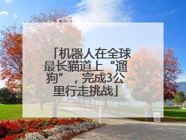机器人在全球最长猫道上“遛狗”，完成3公里行走挑战