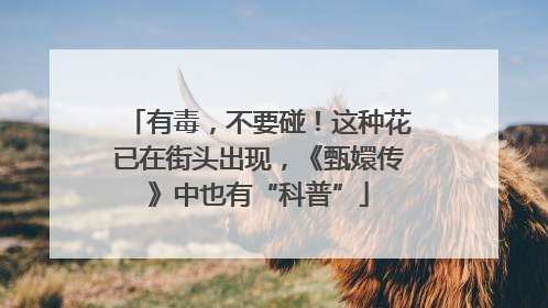 有毒，不要碰！这种花已在街头出现，《甄嬛传》中也有“科普”