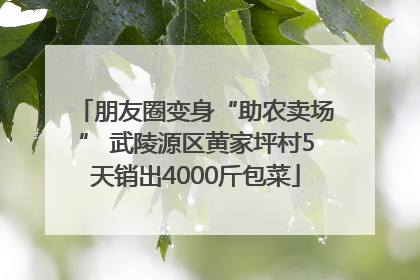 朋友圈变身“助农卖场” 武陵源区黄家坪村5天销出4000斤包菜