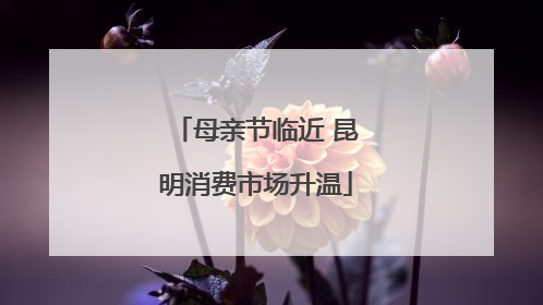 母亲节临近 昆明消费市场升温