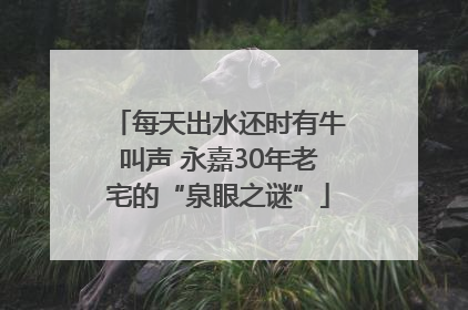 每天出水还时有牛叫声 永嘉30年老宅的“泉眼之谜”