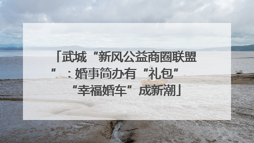 武城“新风公益商圈联盟”：婚事简办有“礼包” “幸福婚车”成新潮