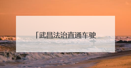 武昌法治直通车驶入街头巷尾 立体化普法护航美好生活
