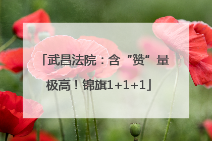 武昌法院：含“赞”量极高！锦旗1+1+1