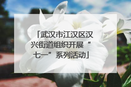 武汉市江汉区汉兴街道组织开展“七一”系列活动
