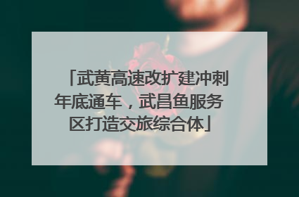 武黄高速改扩建冲刺年底通车，武昌鱼服务区打造交旅综合体