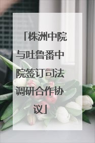 株洲中院与吐鲁番中院签订司法调研合作协议