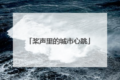 桨声里的城市心跳
