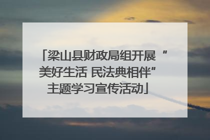 梁山县财政局组开展“美好生活 民法典相伴”主题学习宣传活动