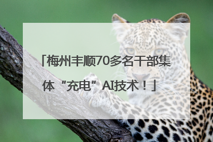 梅州丰顺70多名干部集体“充电”AI技术！