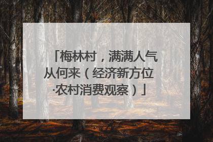 梅林村，满满人气从何来（经济新方位·农村消费观察）