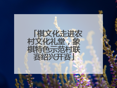 棋文化走进农村文化礼堂，象棋特色示范村联赛绍兴开赛