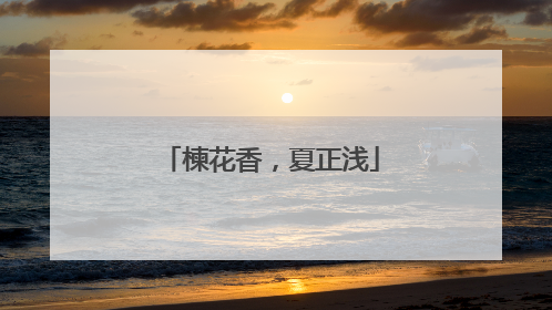 楝花香，夏正浅