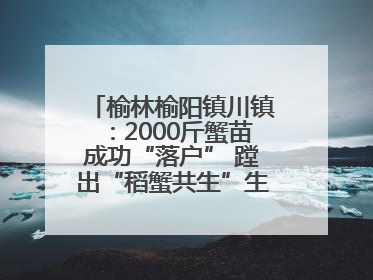 榆林榆阳镇川镇：2000斤蟹苗成功“落户” 蹚出“稻蟹共生”生态种养新路径