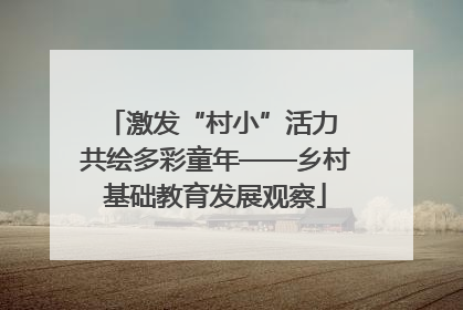 激发“村小”活力 共绘多彩童年——乡村基础教育发展观察