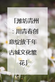 潍坊青州：用青春创意绽放千年古城文化繁花