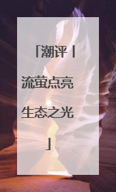 潮评丨流萤点亮生态之光