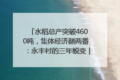 水稻总产突破4600吨，集体经济翻两番：永丰村的三年蜕变｜您牵挂的四川
