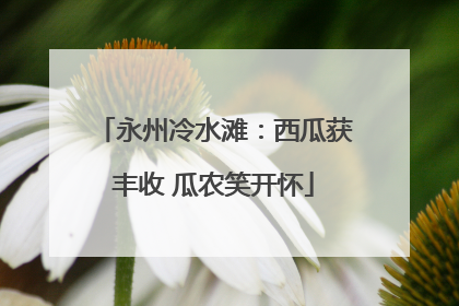 永州冷水滩：西瓜获丰收 瓜农笑开怀