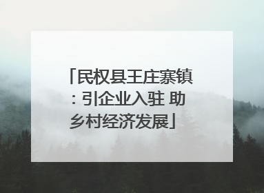 民权县王庄寨镇：引企业入驻 助乡村经济发展