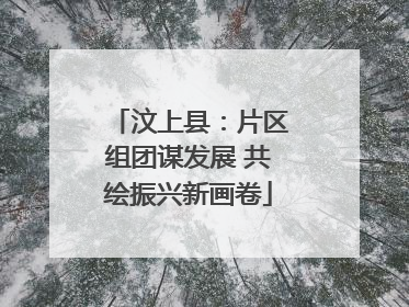 汶上县：片区组团谋发展 共绘振兴新画卷