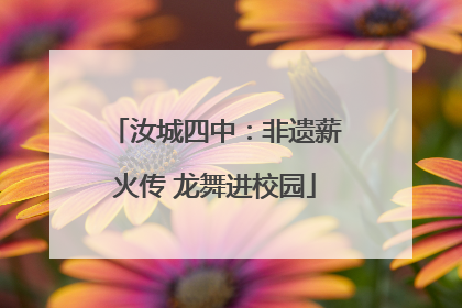 汝城四中：非遗薪火传 龙舞进校园