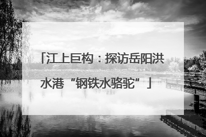 江上巨构：探访岳阳洪水港“钢铁水骆驼”