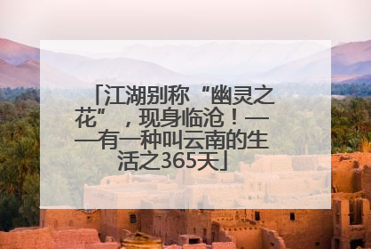 江湖别称“幽灵之花”，现身临沧！——有一种叫云南的生活之365天