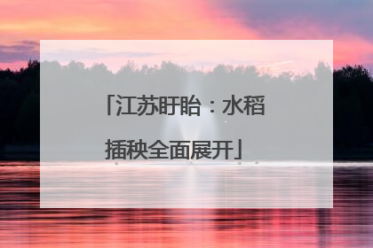 江苏盱眙：水稻插秧全面展开