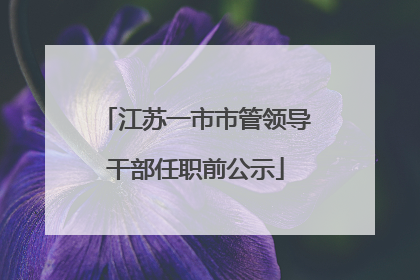 江苏一市市管领导干部任职前公示