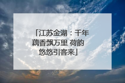 江苏金湖：千年藕香飘万里 荷韵悠悠引客来