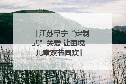 江苏阜宁“定制式”关爱 让困境儿童双节同欢