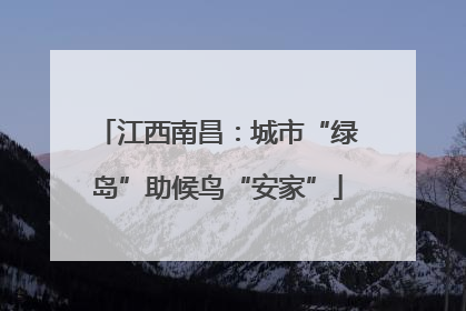 江西南昌：城市“绿岛”助候鸟“安家”
