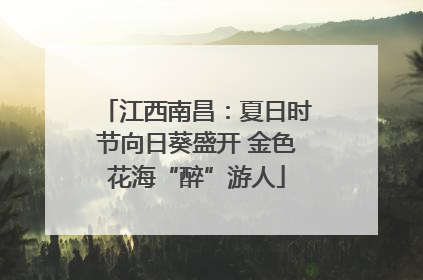 江西南昌：夏日时节向日葵盛开 金色花海“醉”游人
