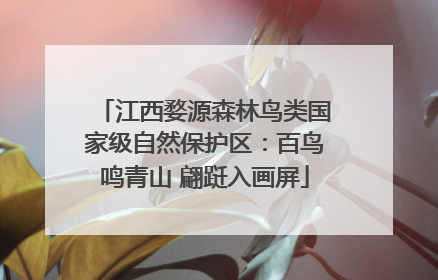 江西婺源森林鸟类国家级自然保护区：百鸟鸣青山 翩跹入画屏