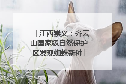 江西崇义：齐云山国家级自然保护区发现蜘蛛新种