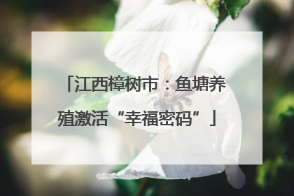 江西樟树市：鱼塘养殖激活“幸福密码”
