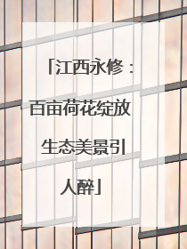 江西永修：百亩荷花绽放 生态美景引人醉