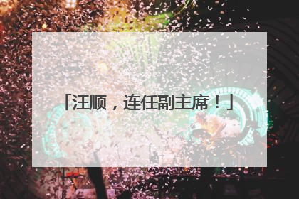 汪顺，连任副主席！